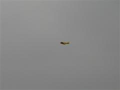 PICT2184.JPG